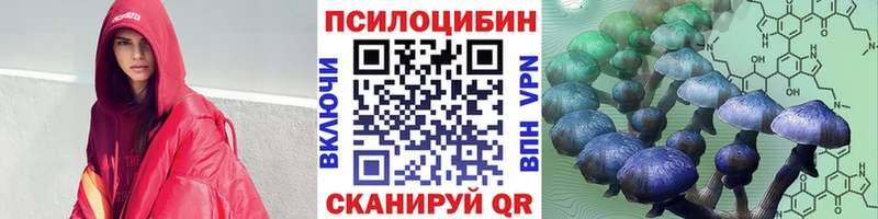 Галлюциногенные грибы Psilocybe Ивдель